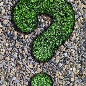 question, counselor, lawn, pebbles, question mark, nature, green, beautiful wallpaper, gray, round, background, weed, gravel, texture, iphone wallpaper